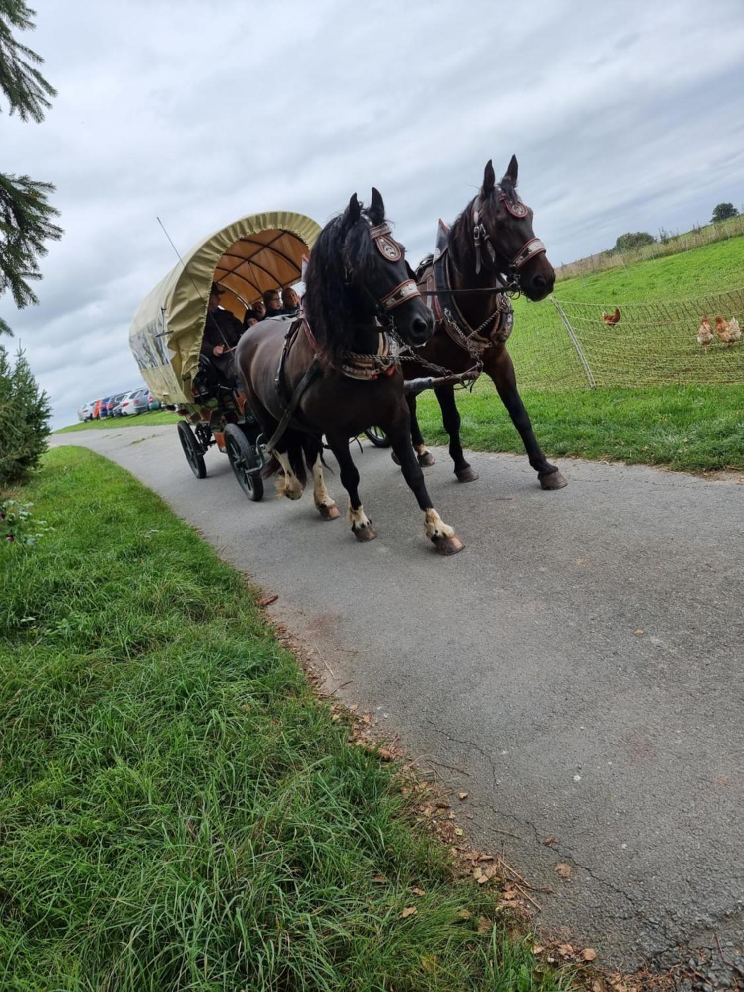 Hotel Regenbogenhof Rudelswalde Crimmitschau Zewnętrze zdjęcie
